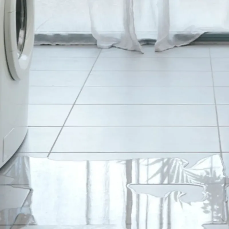 Appliance Leak Cleanup in Licking, MO