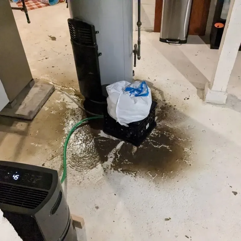Sewage Backup Cleanup Service in Licking, MO